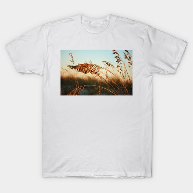 Sunlight On Sea Oats T-Shirt by Cynthia48